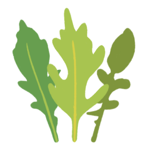 Arugula