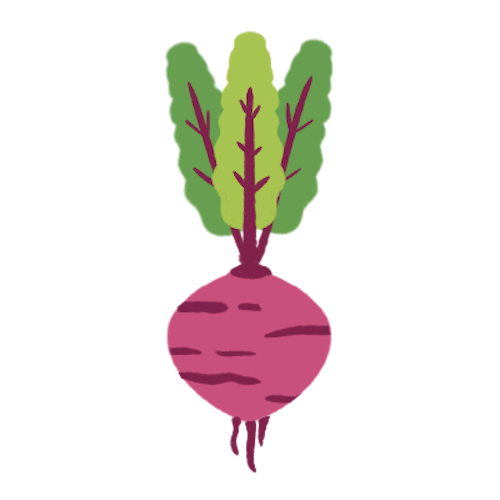 Beet