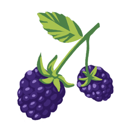 Blackberry