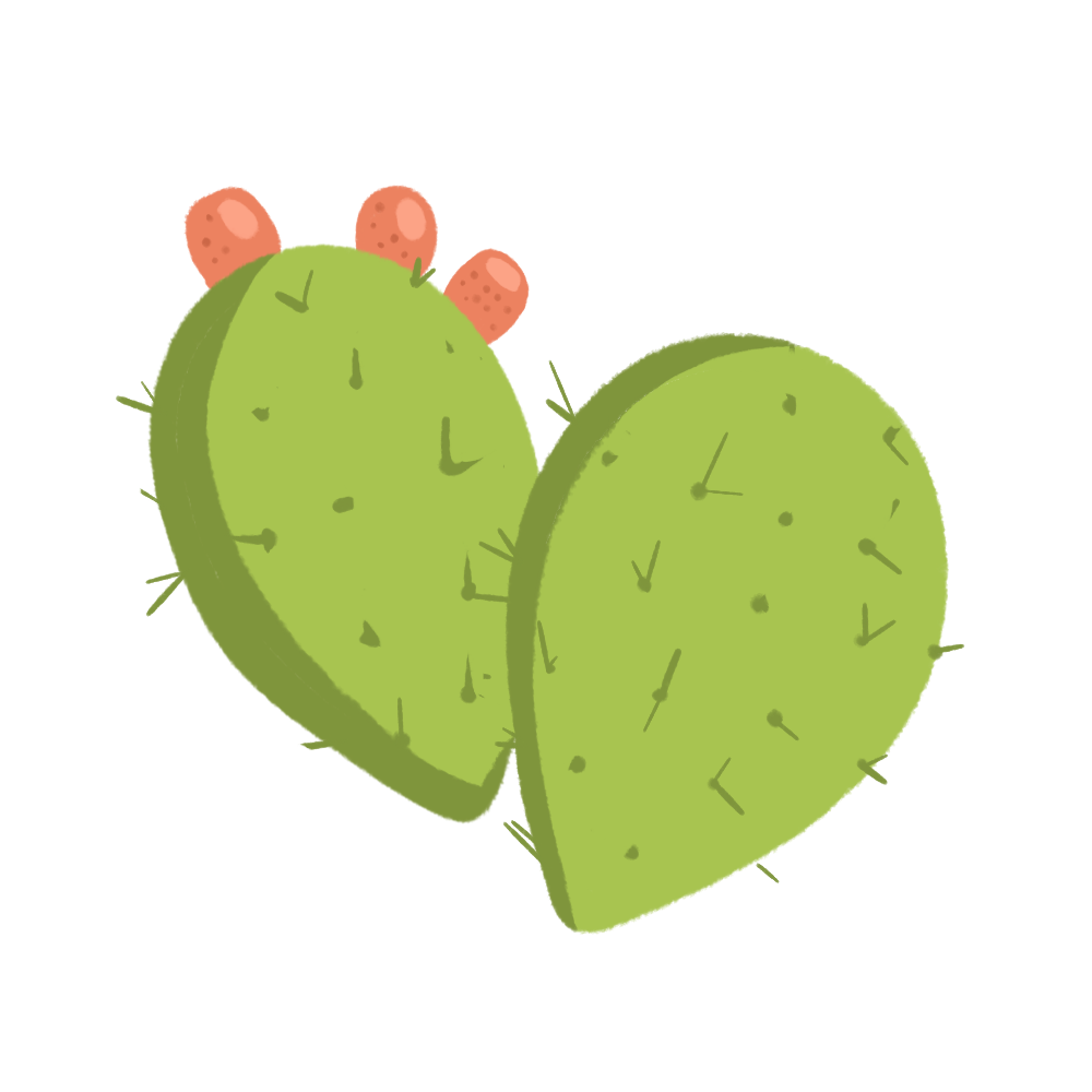Cactus Pad