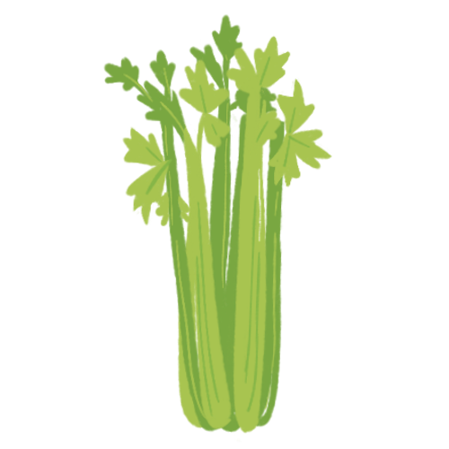 Celery