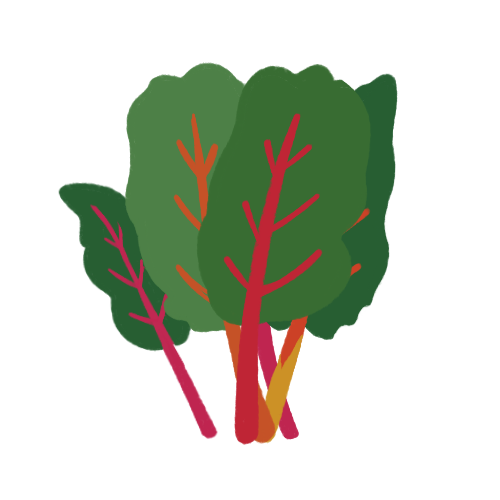 Chard