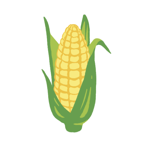 Corn