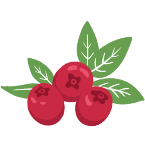 Cranberry