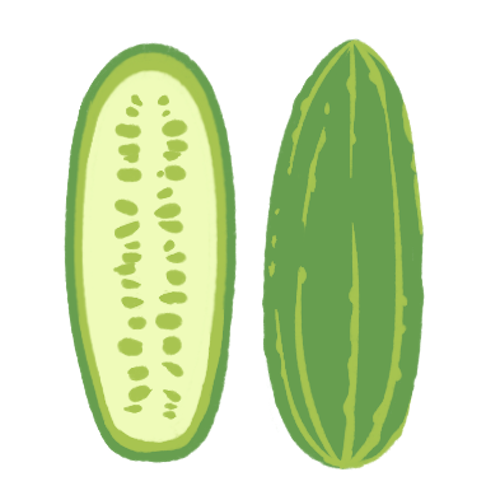 Cucumber