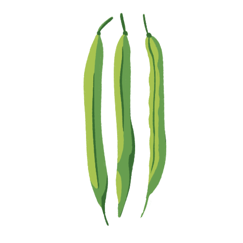Green Bean