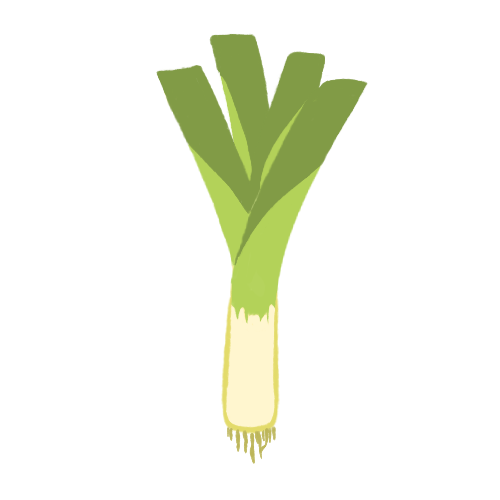 Leek