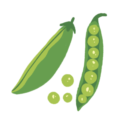 Pea