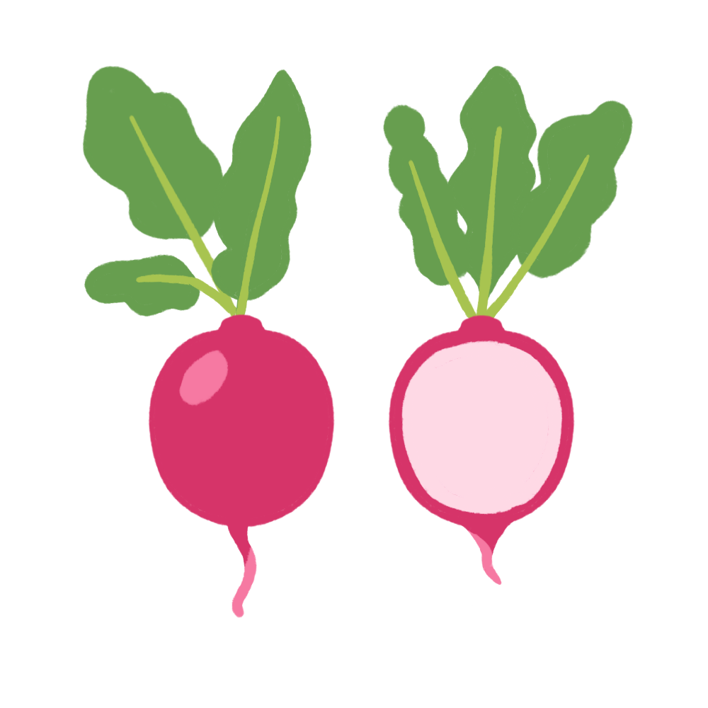 Radish