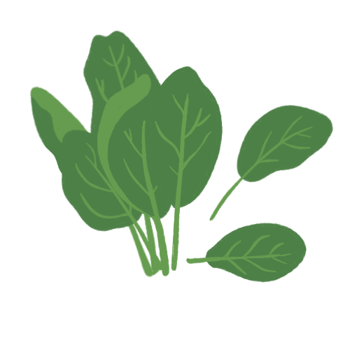 Spinach
