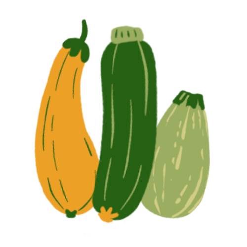 Zucchini